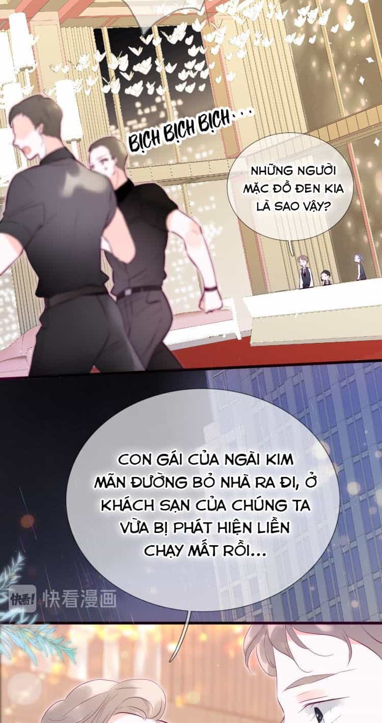 Chạy Trốn Cùng Con Nhím - Chương 1 - ảnh 13