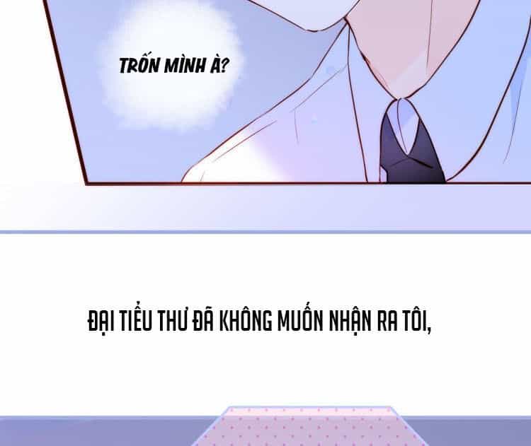 Chạy Trốn Cùng Con Nhím - Chương 1 - ảnh 86