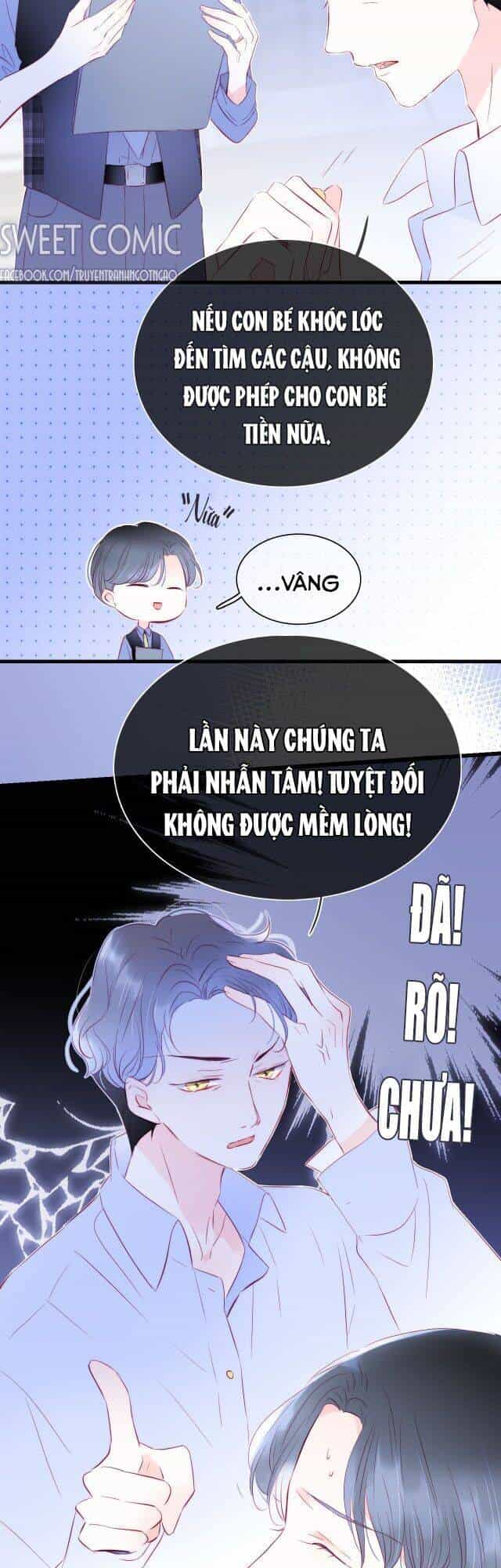 Chạy Trốn Cùng Con Nhím - Chương 11 - ảnh 18