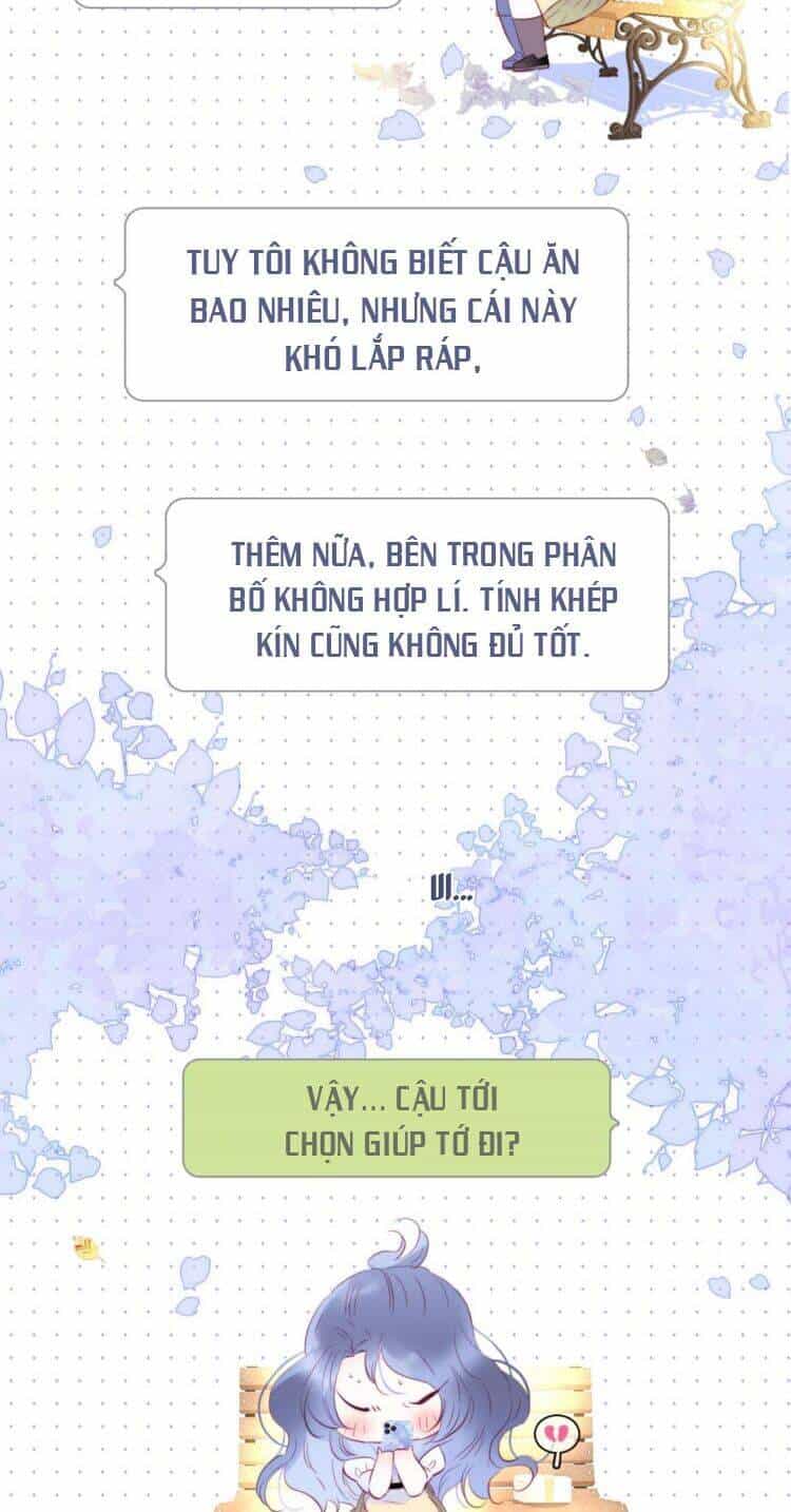 Chạy Trốn Cùng Con Nhím - Chương 13 - ảnh 18
