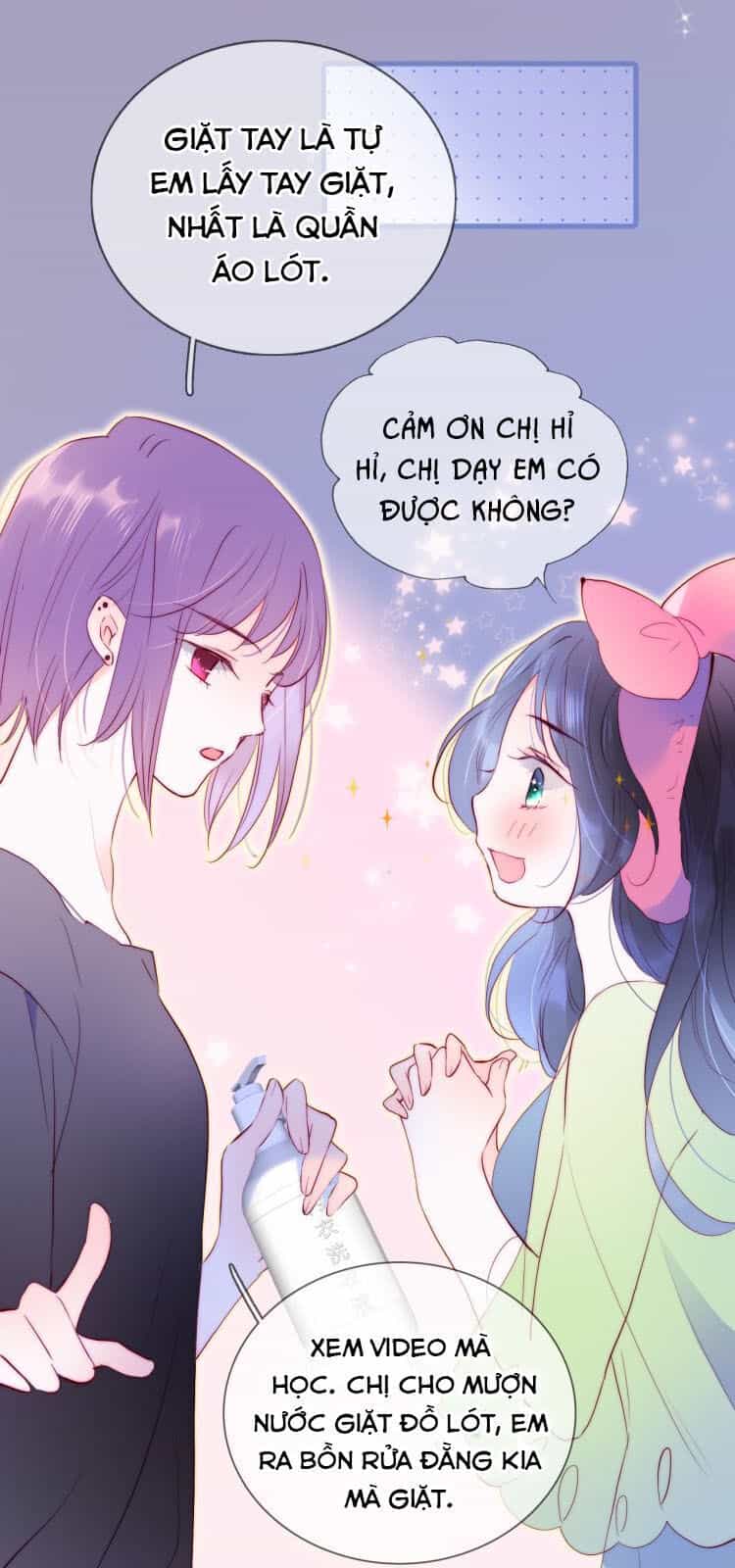 Chạy Trốn Cùng Con Nhím - Chương 2 - ảnh 6