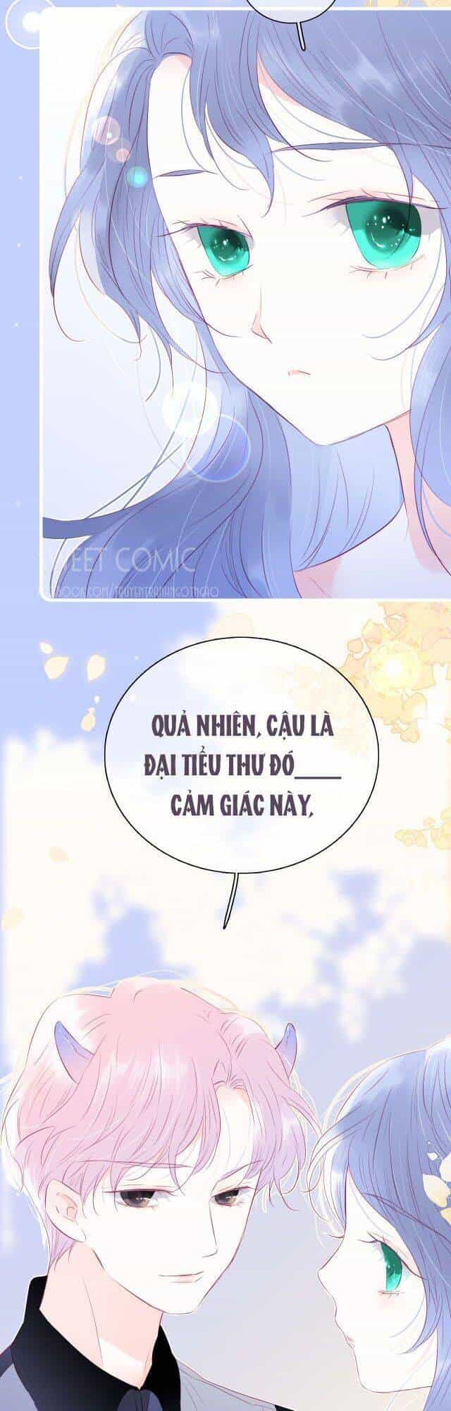 Chạy Trốn Cùng Con Nhím - Chương 21 - ảnh 2