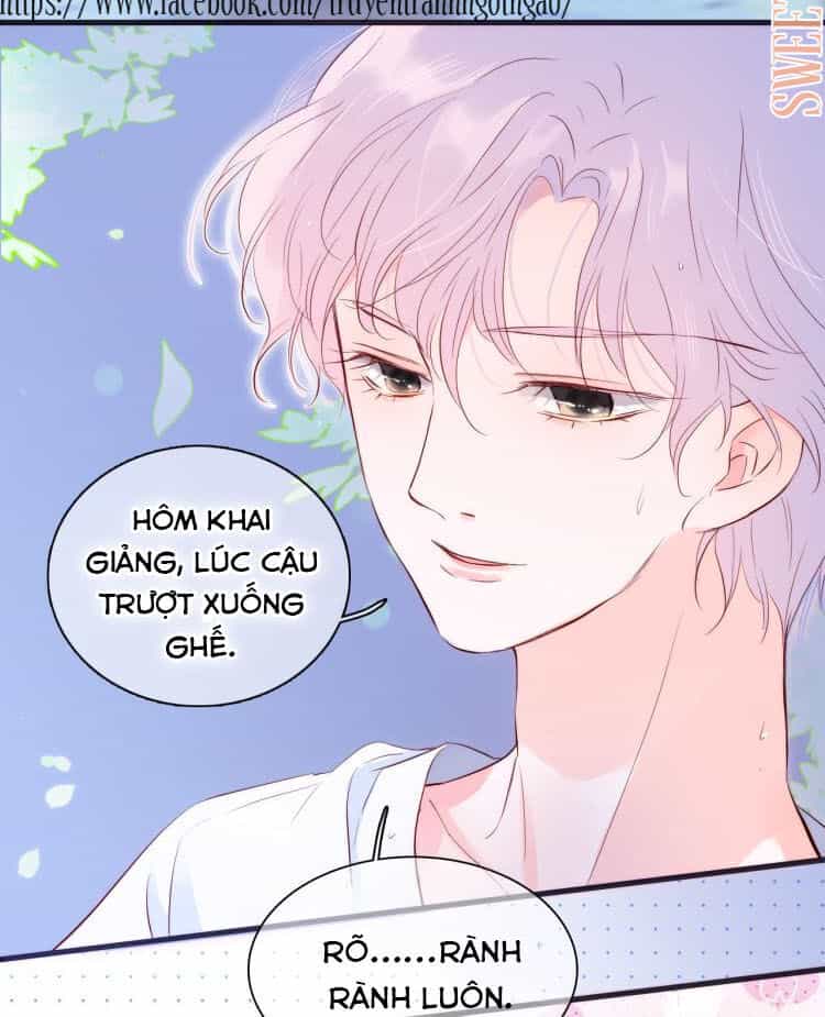 Chạy Trốn Cùng Con Nhím - Chương 4 - ảnh 7