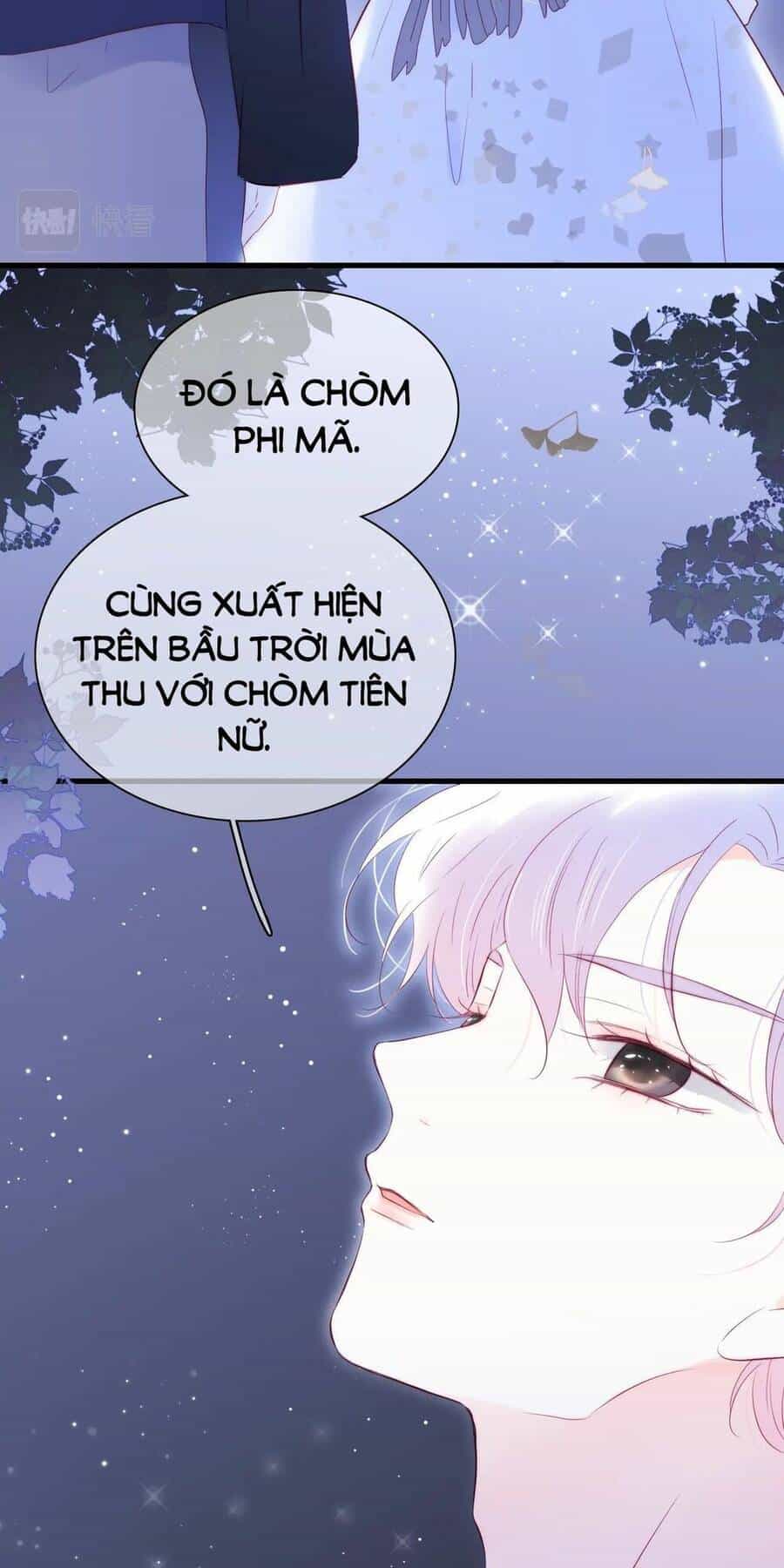 Chạy Trốn Cùng Con Nhím - Chương 45 - ảnh 26