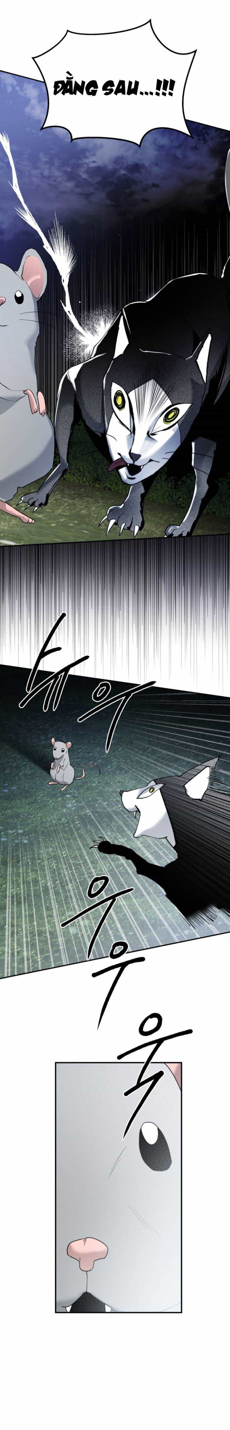 Chị Em Nhà Ki - Chương 12 - ảnh 54