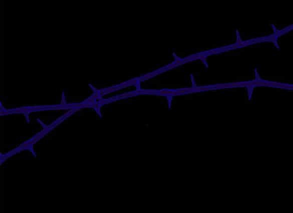 Chị Gái À, Kiếp Này Em Chính Là Nữ Hoàng - Chương 60.1 - ảnh 38