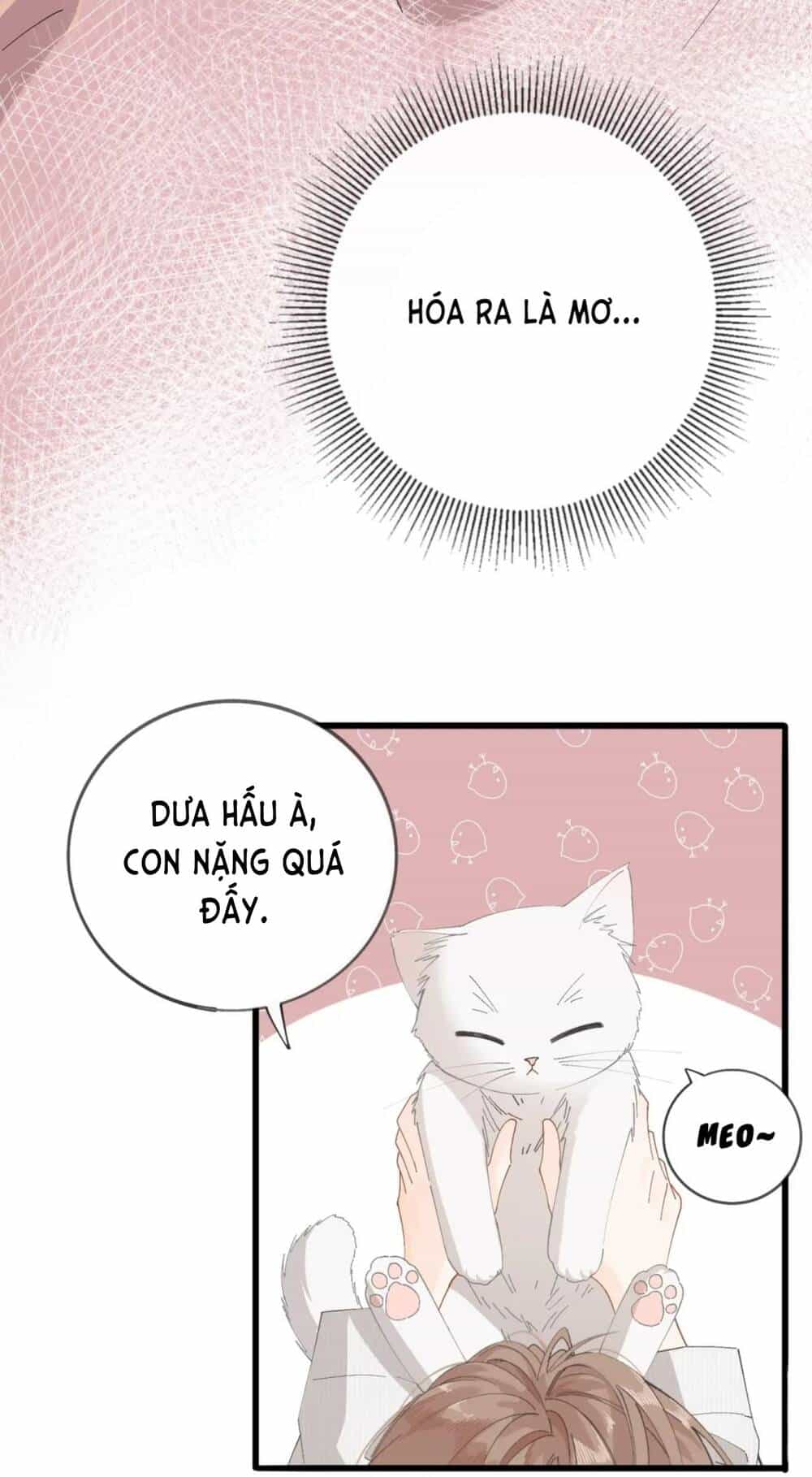 Chị Gái Lại Toang Nữa Rồi - Chương 1 - ảnh 9