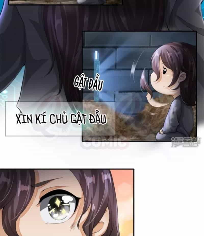 Chí Tôn Hồng Bao Hoàng Đế - Chương 1 - ảnh 14