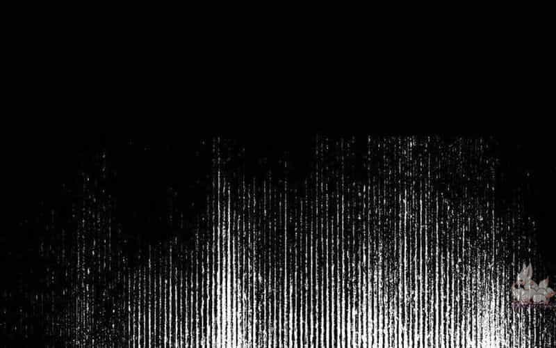 Chiến Binh Cariel - Chương 1 - ảnh 246