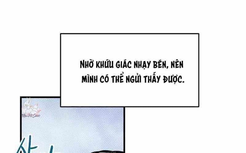 Chiến Binh Cariel - Chương 1 - ảnh 385