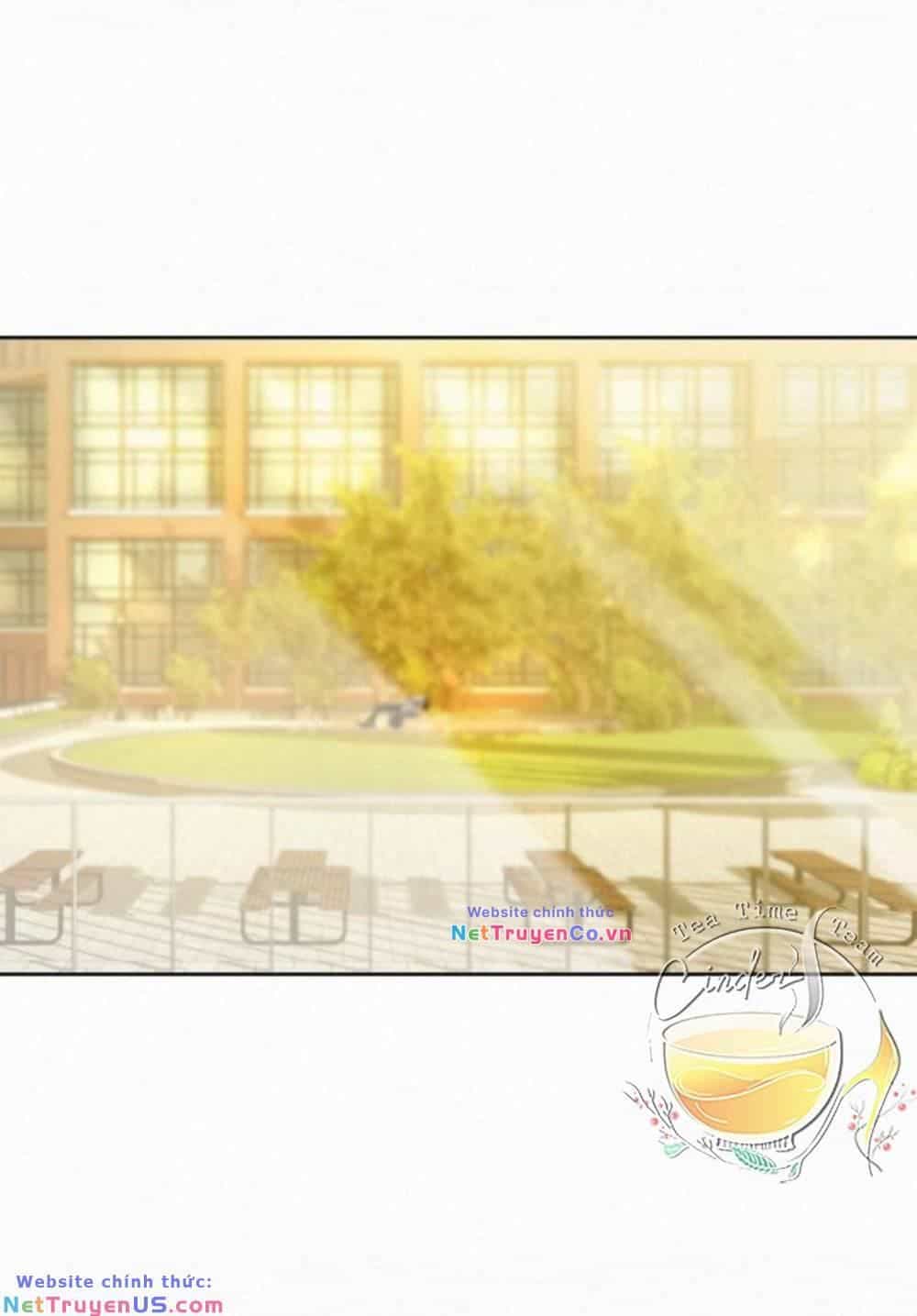Chiến Lược: Tình Yêu Trong Sáng - Chương 82 - ảnh 58