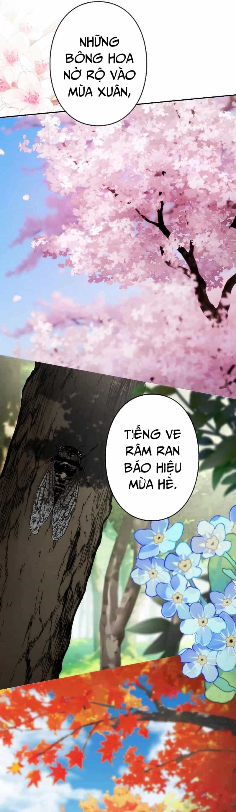 Chiến Thần Xuất Thế - Chương 16 - ảnh 34
