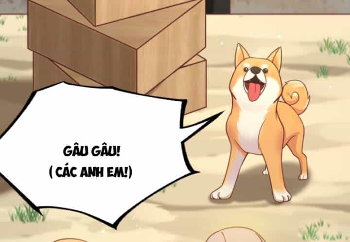 Chính Nghĩa Không!! Ta Trở Thành Phản Diện - Chương 49 - ảnh 16