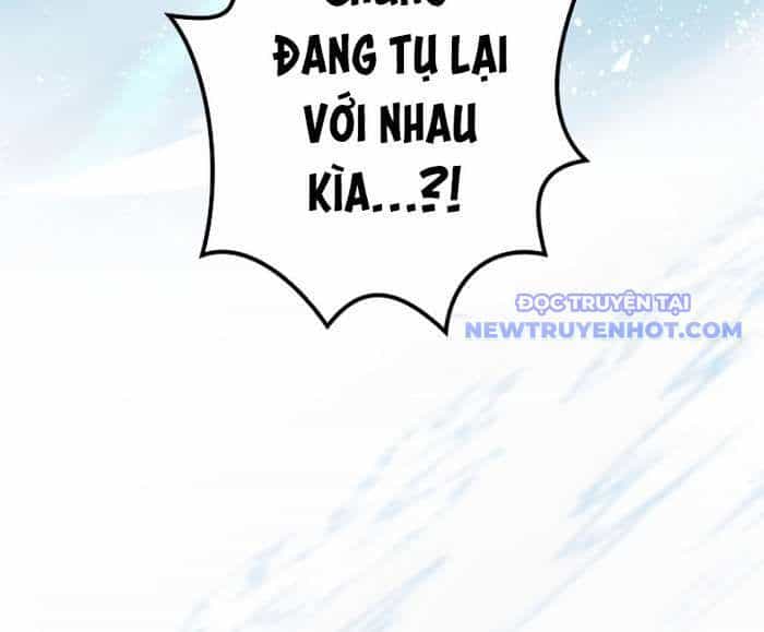 Chinh Phục Hầm Ngục Bằng Sao Chép Và Dán! - Chương 12 - ảnh 22