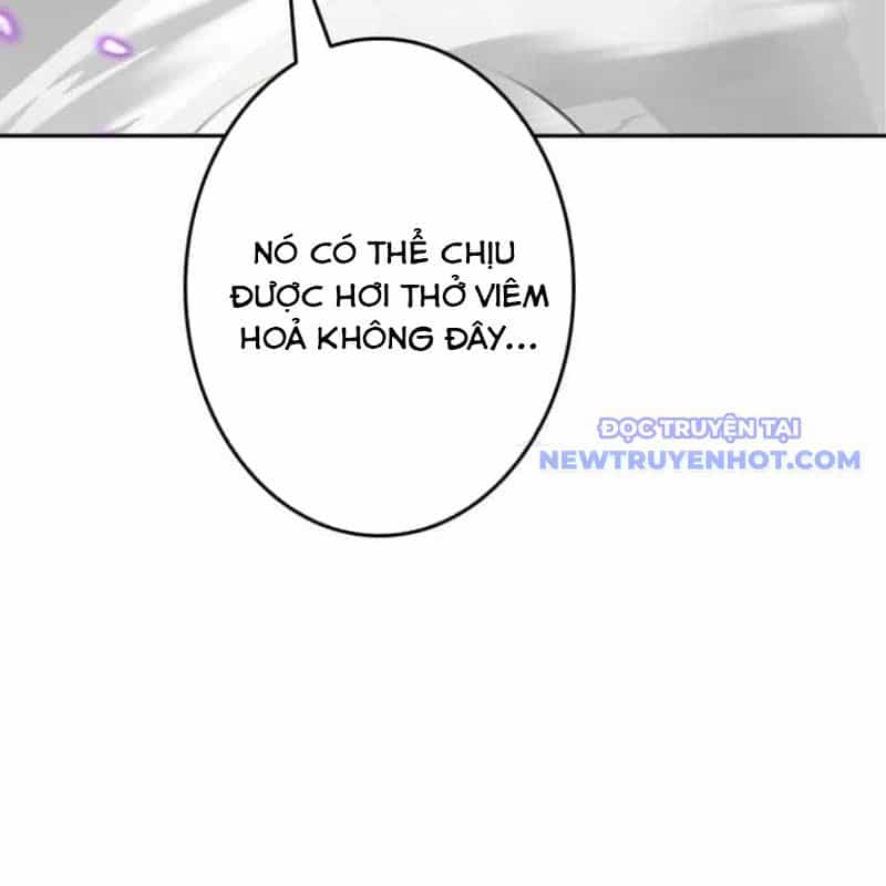 Chinh Phục Hầm Ngục Bằng Sao Chép Và Dán! - Chương 33 - ảnh 20