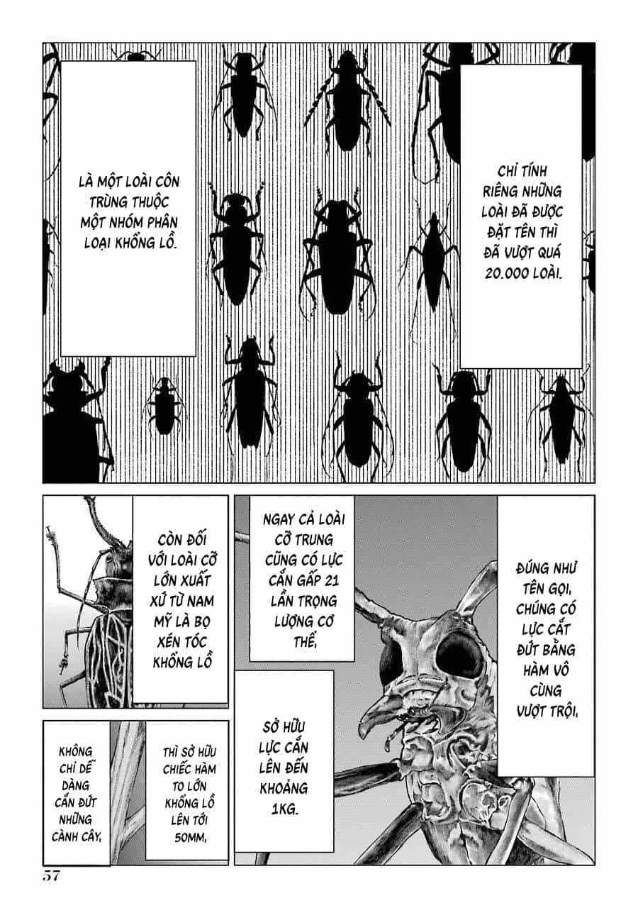 Choubu No Shinobi - Chương 16 - ảnh 14