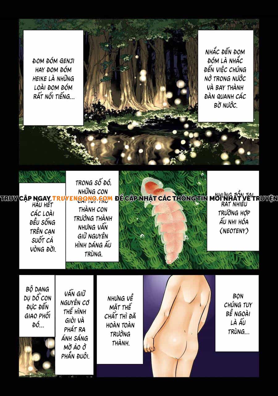 Choubu No Shinobi - Chương 18 - ảnh 2