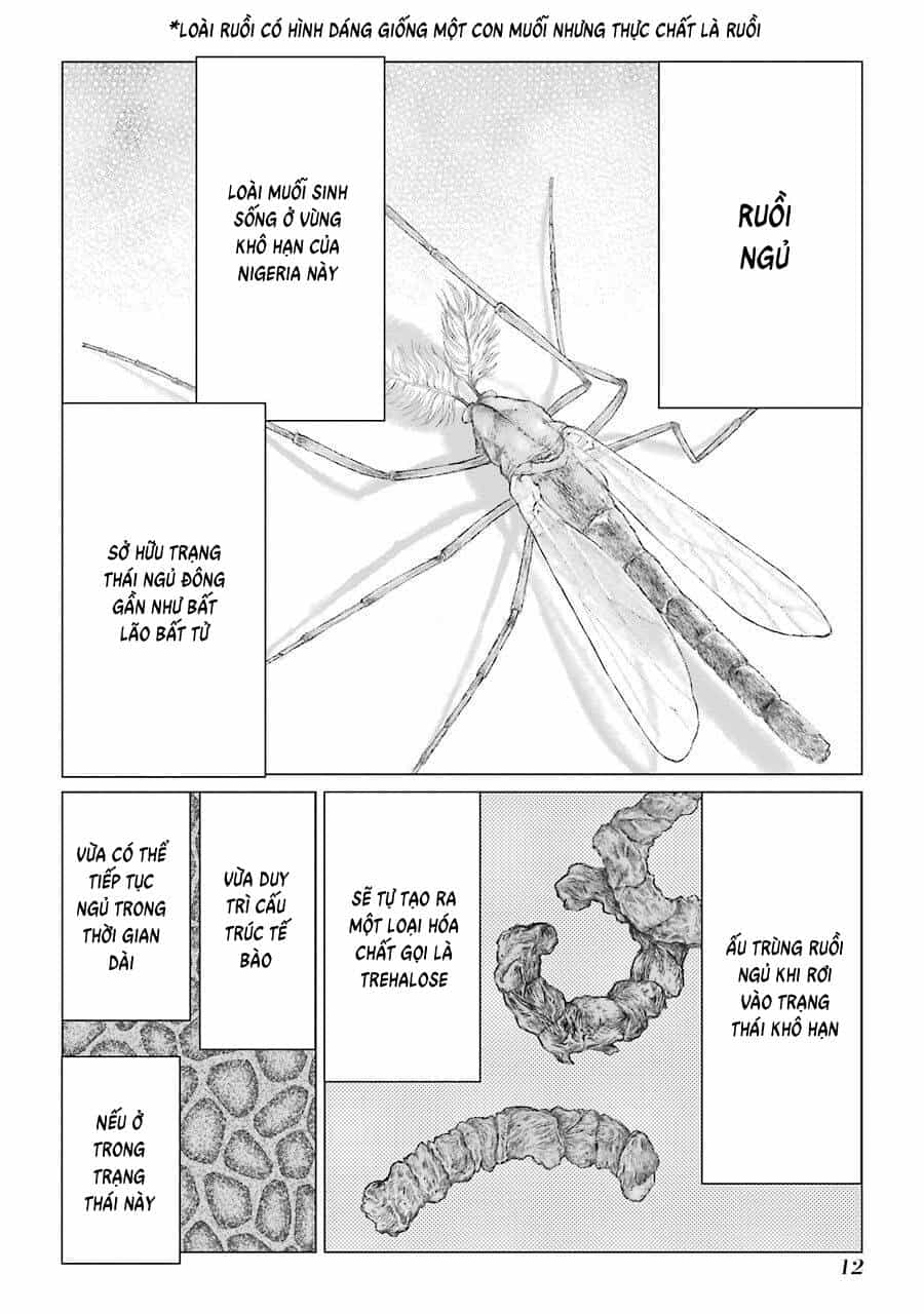 Choubu No Shinobi - Chương 21 - ảnh 12