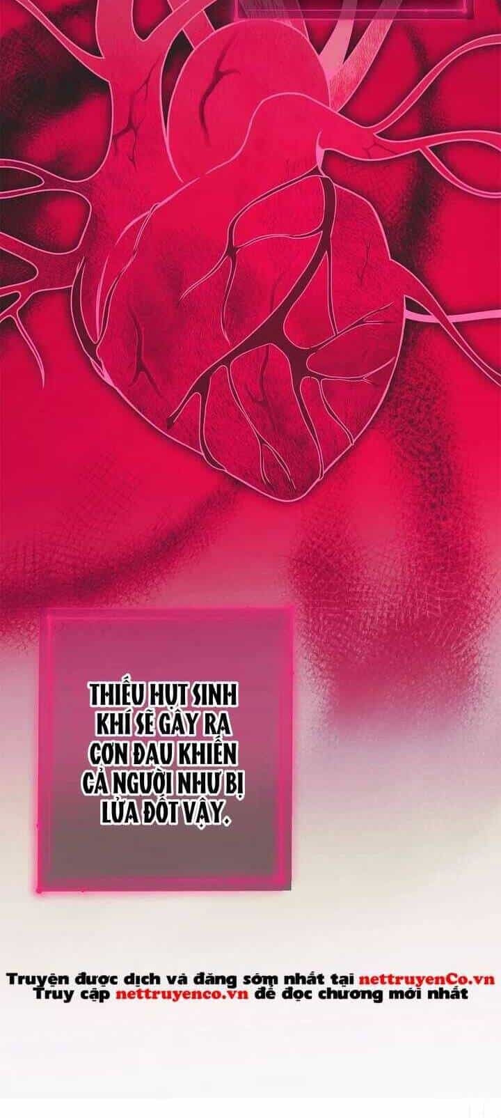 Chủ Hầm Ngục Cấp S - Chương 17 - ảnh 17