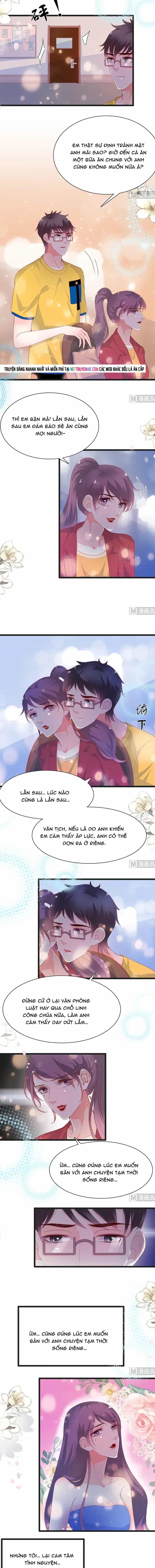 Chu Tiên Sinh, Ép Cưới Phạm Pháp Đó - Chương 174 - ảnh 2