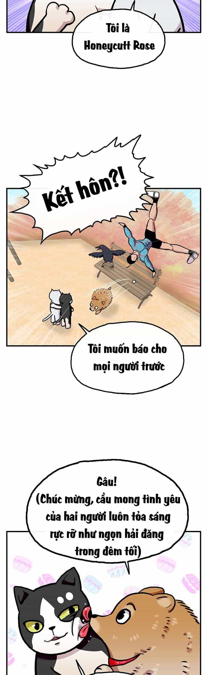 Chúa Tể Muôn Loài - Chương 26 - ảnh 10