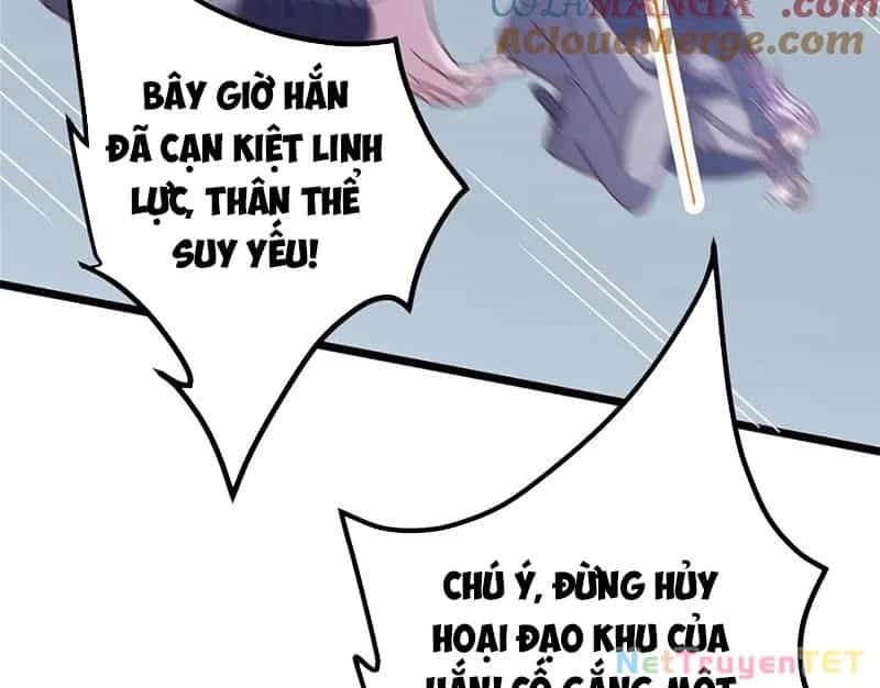 Chưởng Môn Khiêm Tốn Chút - Chương 469 - ảnh 143