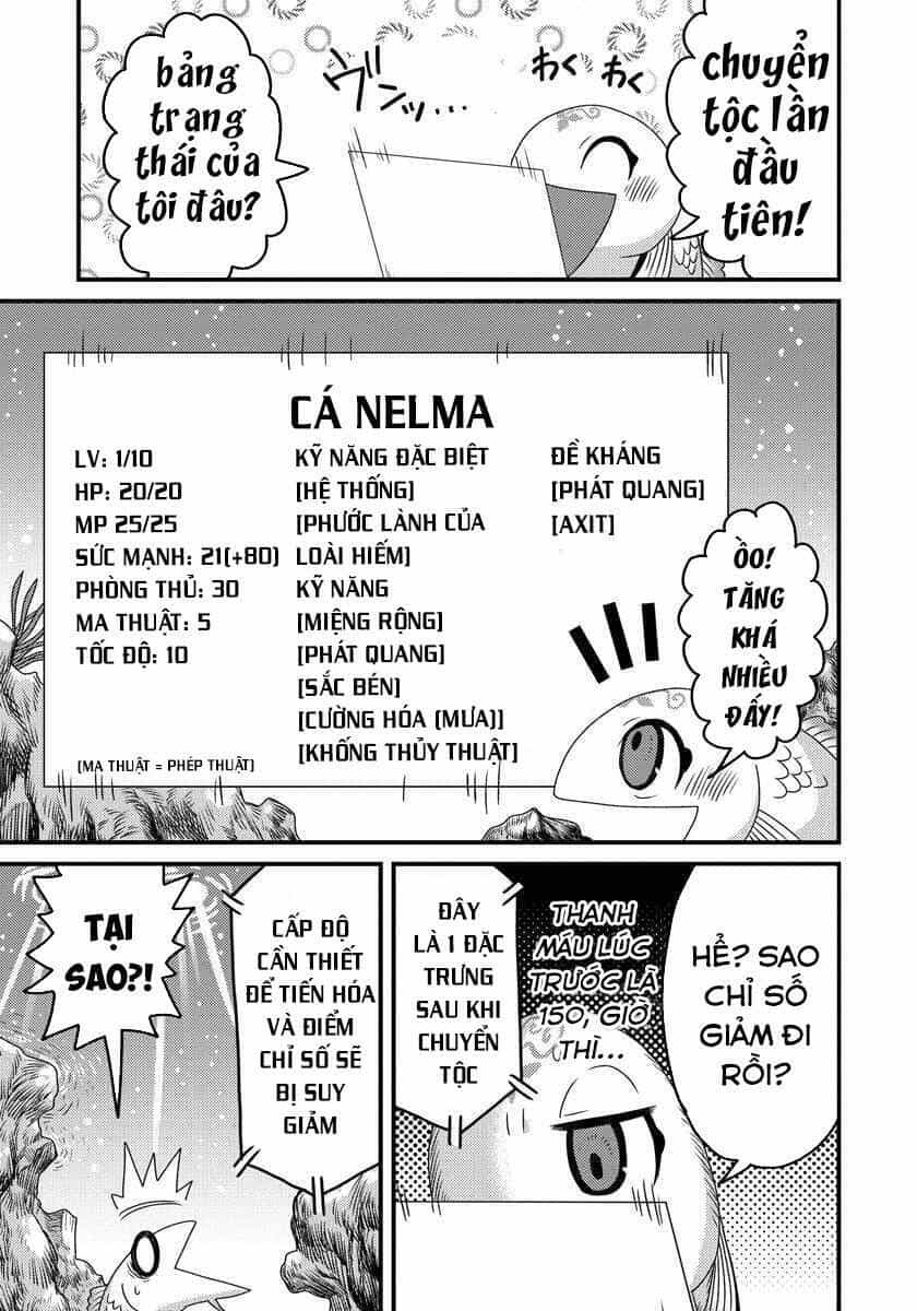 Chuyển Sinh Thành Cá, Tôi Sẽ Tiến Hóa Thành Rồng Ở Dị Giới - Chương 3.1 - ảnh 12