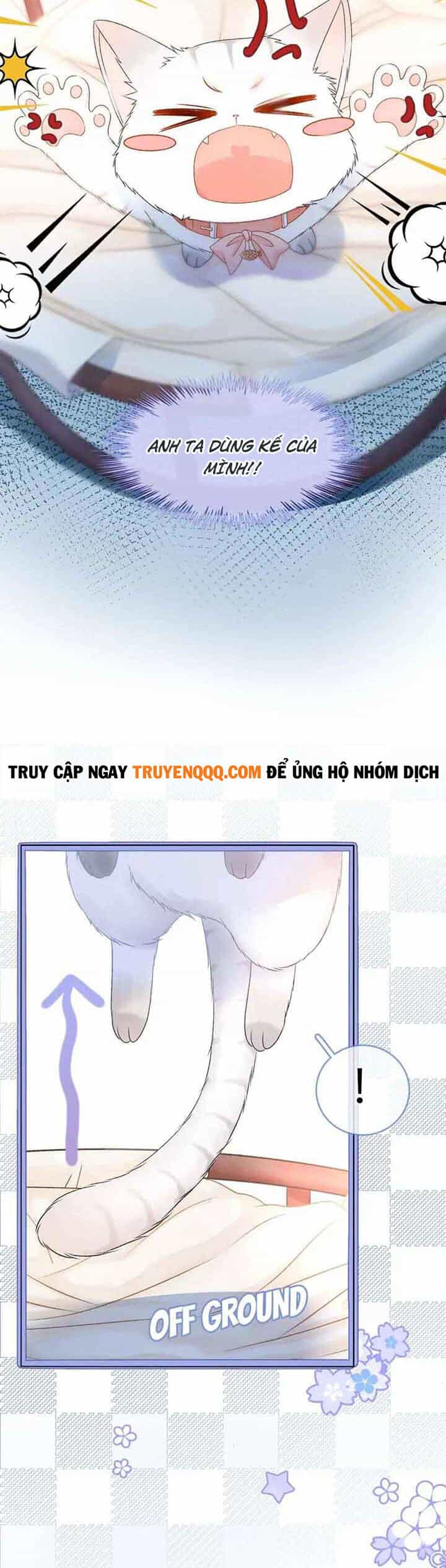 Cô Ấy Ngày Nào Cũng Lên Hot Search! - Chương 36 - ảnh 12
