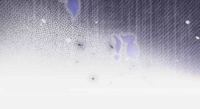 Cô Dâu Của Đại Công Tước Là Chiến Binh Địa Ngục - Chương 7 - ảnh 22
