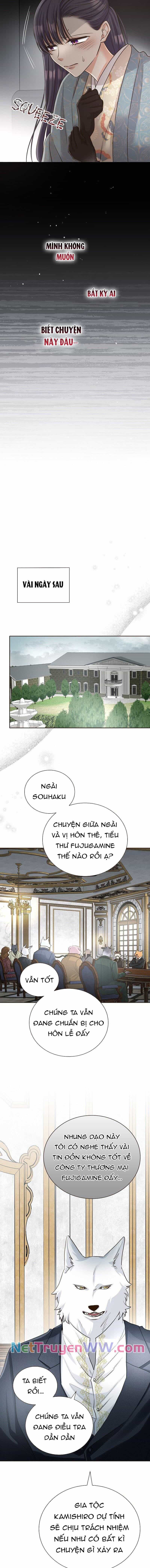 Cô Dâu Của Sói Trắng - Chương 31 - ảnh 8