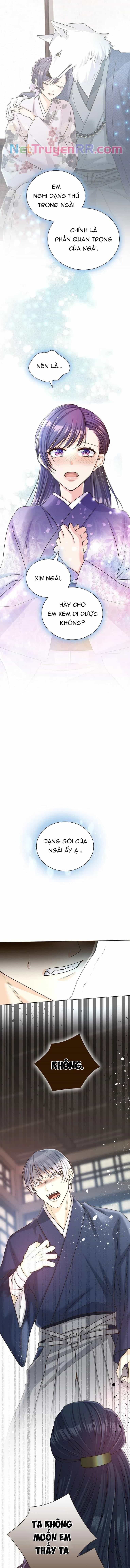 Cô Dâu Của Sói Trắng - Chương 64 - ảnh 9