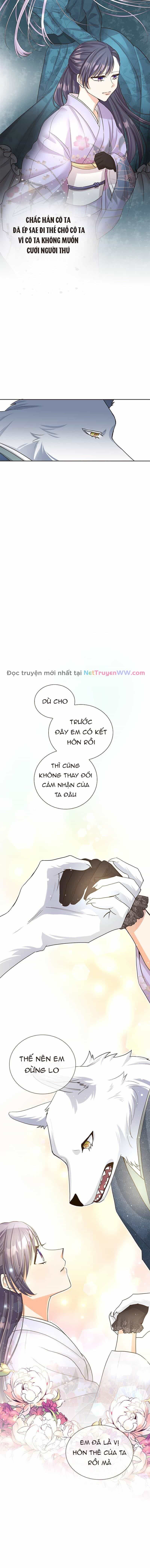 Cô Dâu Của Sói Trắng - Chương 7 - ảnh 5
