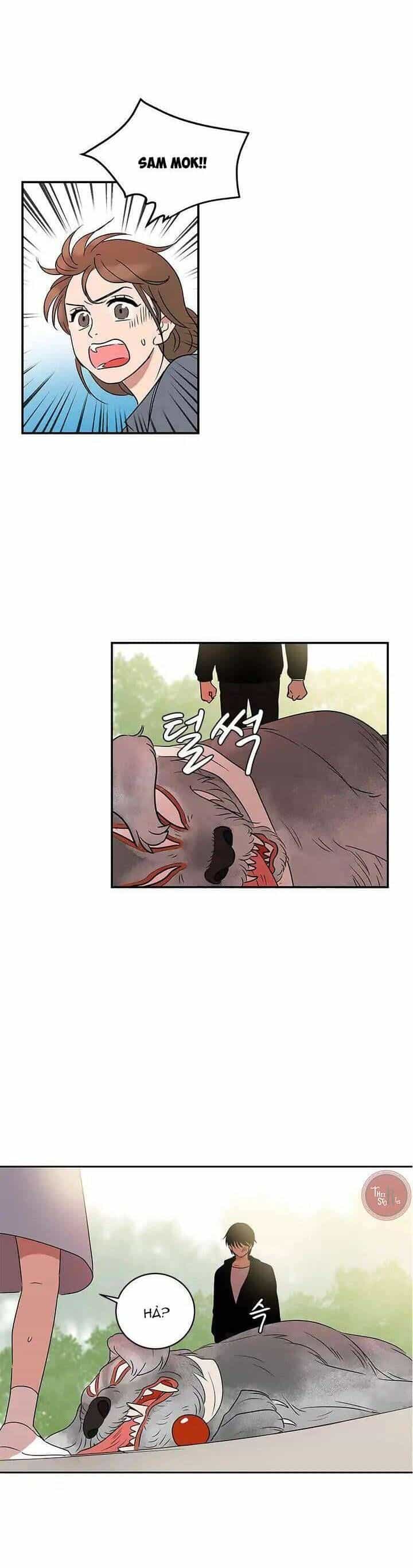 Cô Nàng Pháp Sư - Chương 12 - ảnh 24