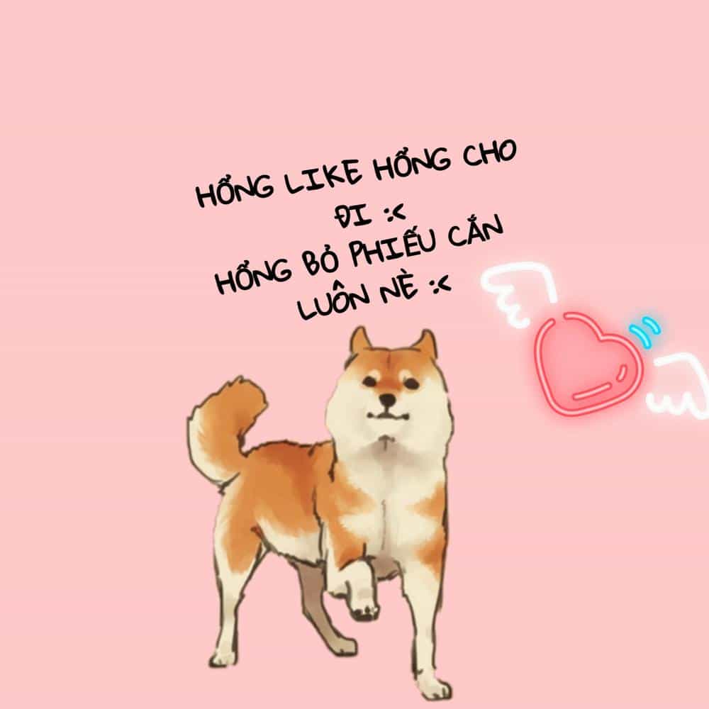 Cô Nương Xấu Xí Của Trẫm - Chương 3 - ảnh 15