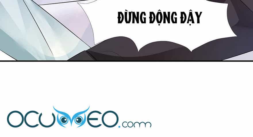 Cô Sát Thủ Ơi, Yêu Nhau Nhé - Chương 56 - ảnh 20