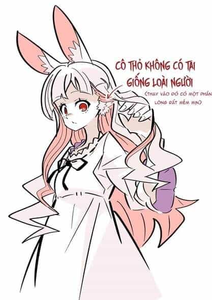 Cô Thỏ Sát Nhân - Chương 1 - ảnh 10