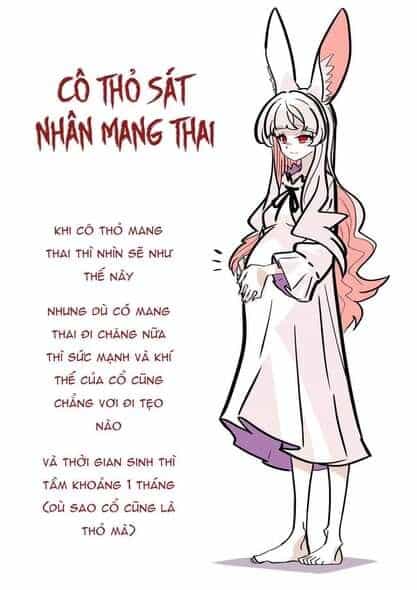 Cô Thỏ Sát Nhân - Chương 3 - ảnh 3