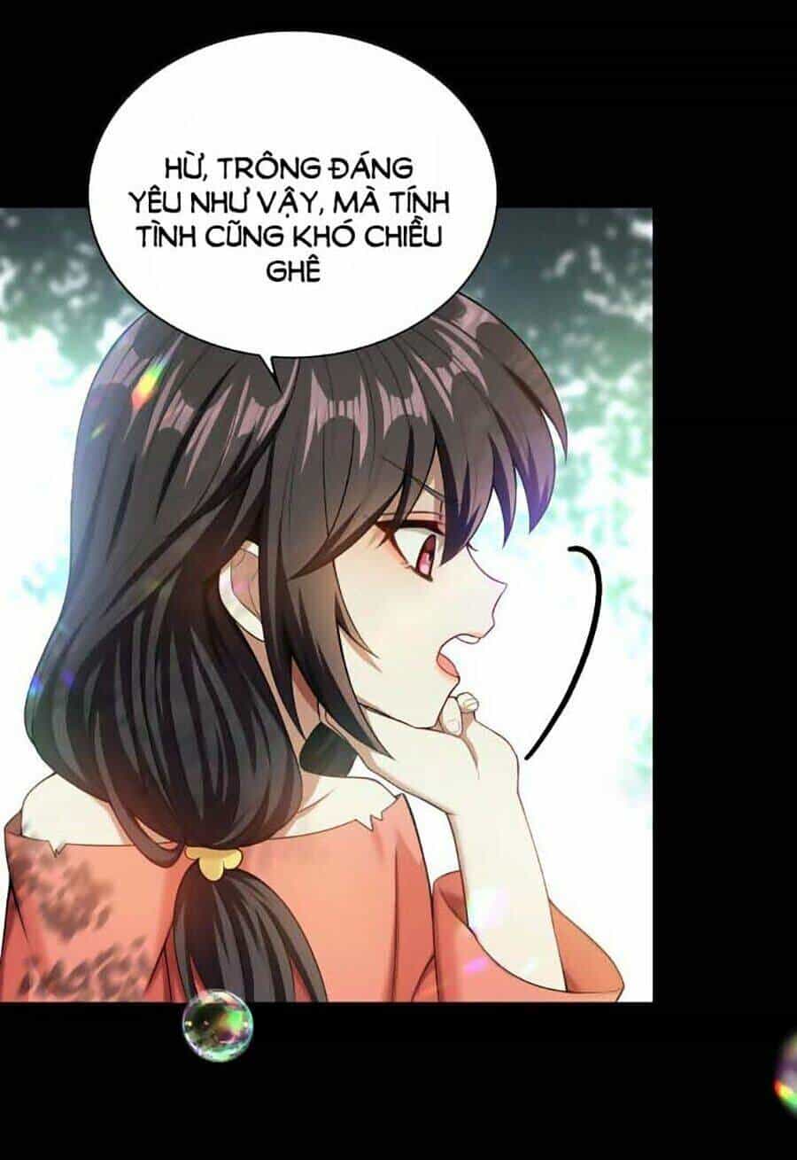 Cô Vợ Gả Thay Của Tổng Tài Cố Chấp - Chương 31 - ảnh 70