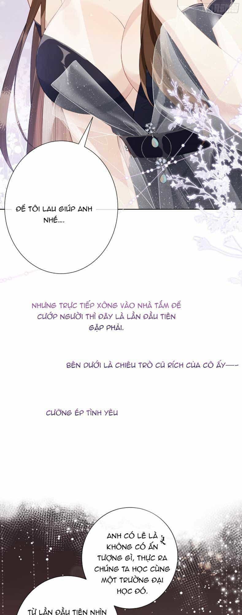 Cố Ý Chiếm Đoạt - Chương 1 - ảnh 9