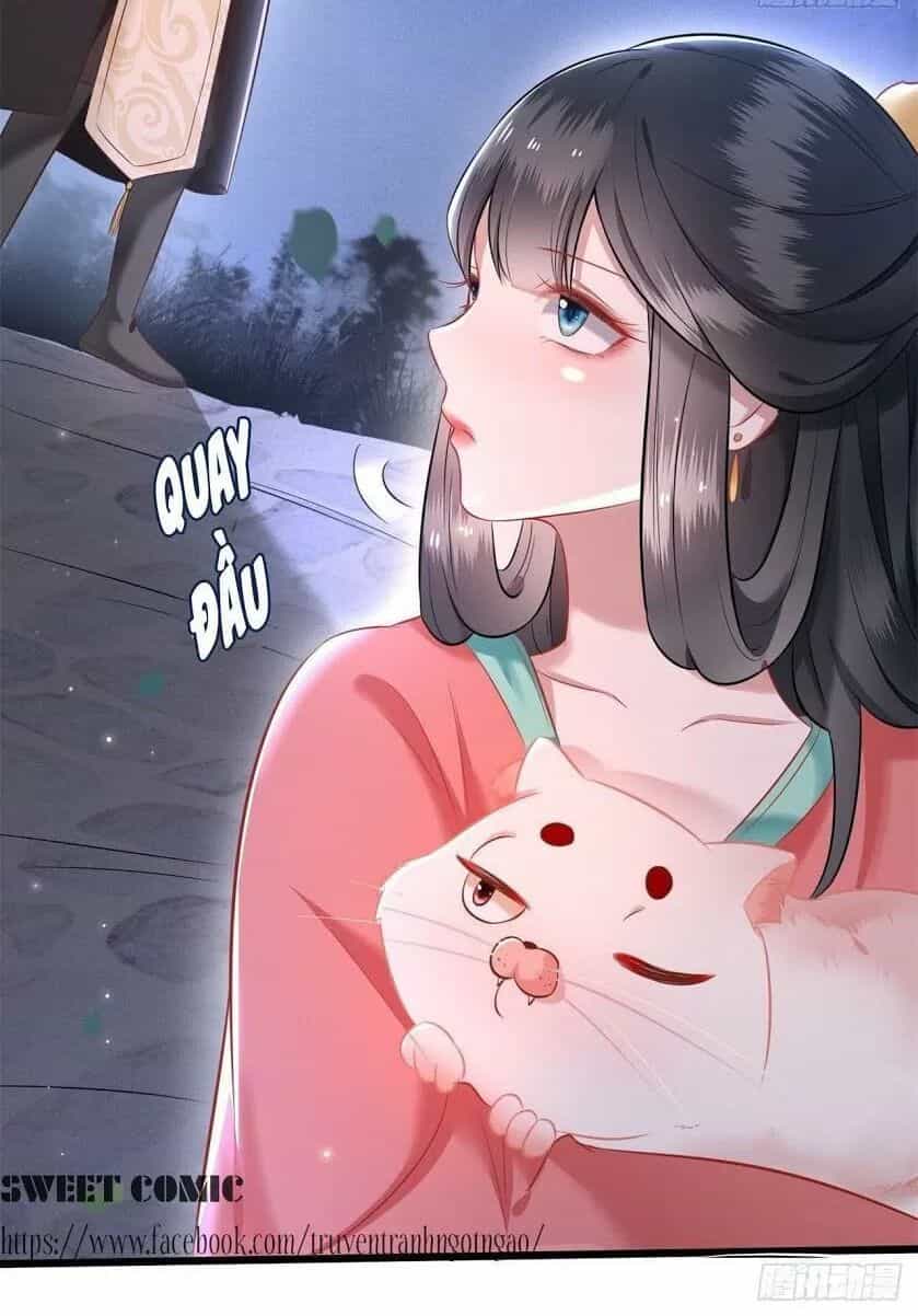 Con Đường Hoang Dã Của Vương Phi - Chương 7 - ảnh 3