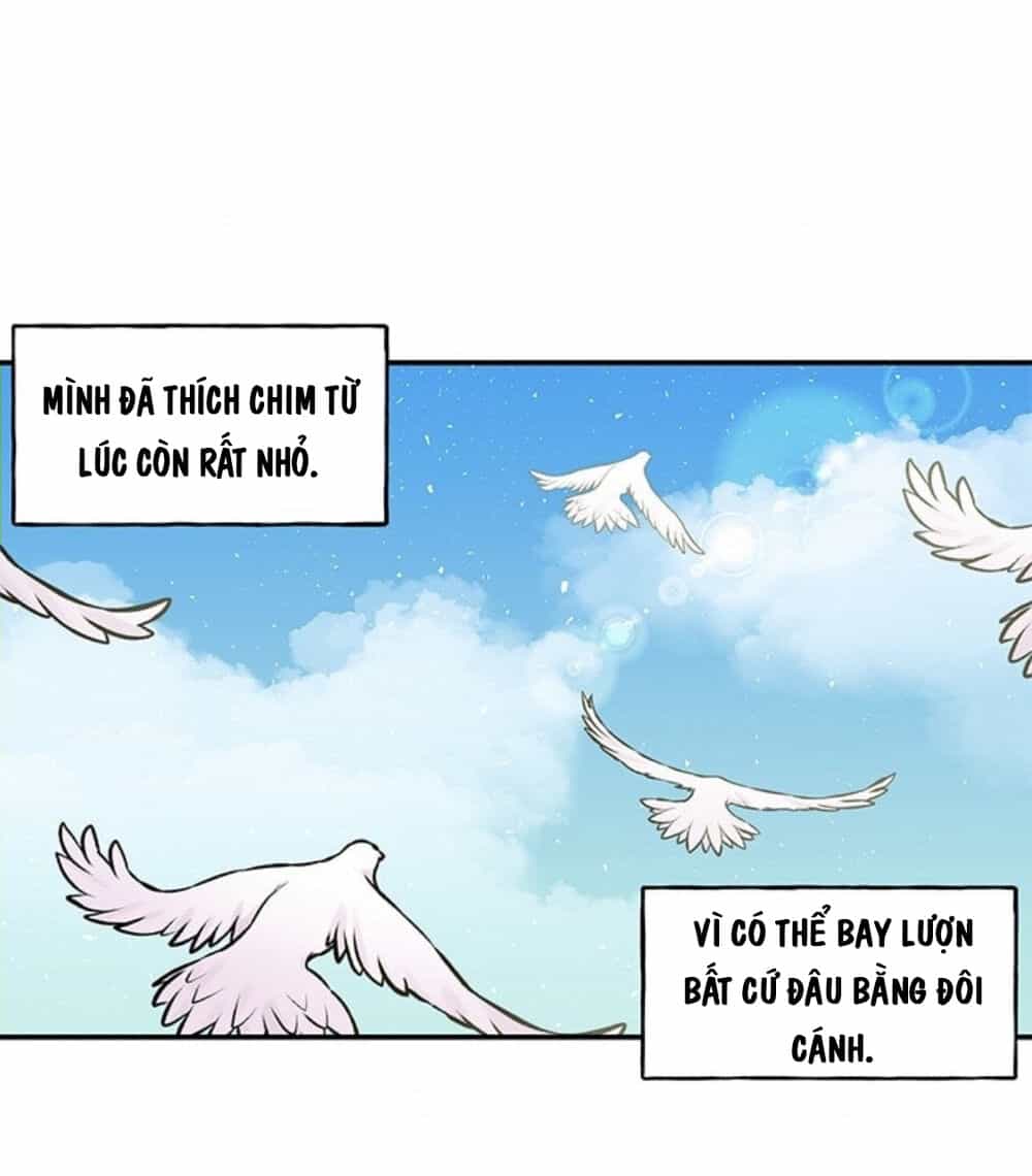 Con Gái Của Đại Pháp Sư - Chương 16 - ảnh 64
