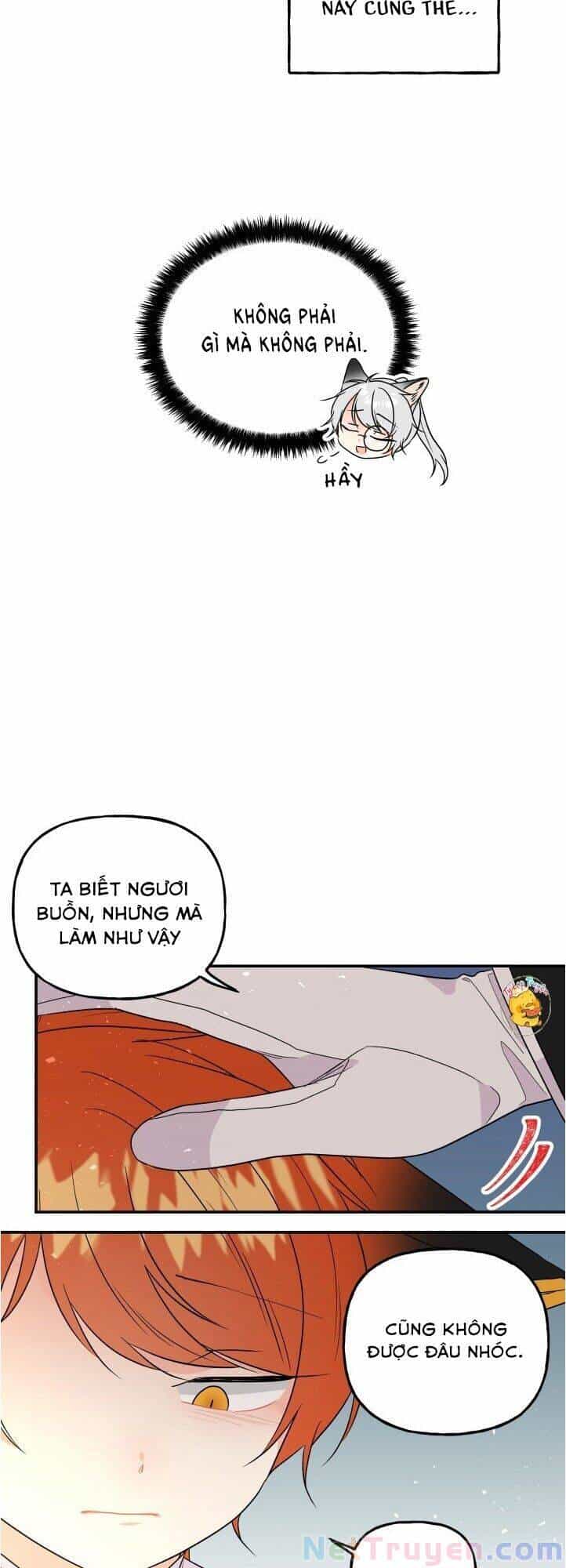 Con Gái Của Đại Pháp Sư - Chương 56 - ảnh 25