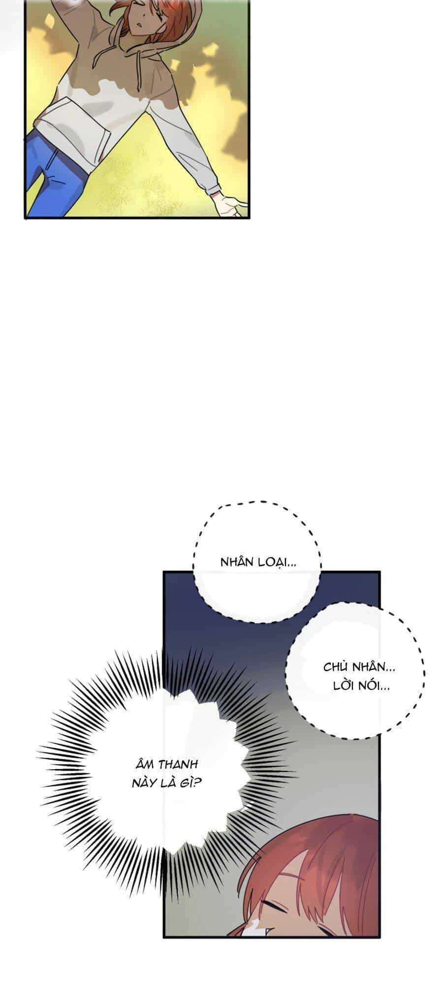 Cơn Phẫn Nộ Đẫm Máu - Chương 3 - ảnh 26