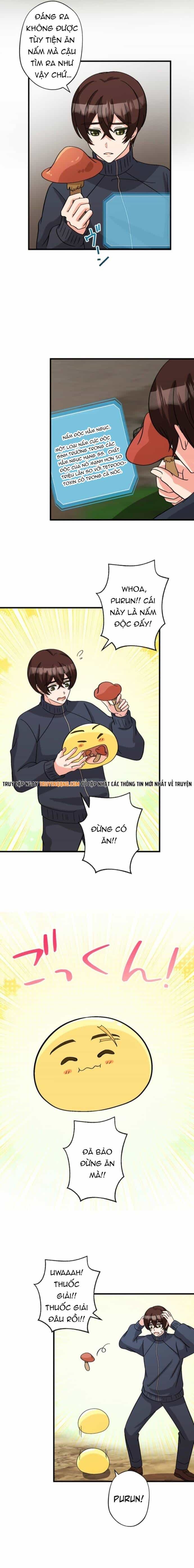 Con Slime Yếu Nhất Ta Từng Cứu Giờ Đã Trở Thành Huyền Thoại! - Chương 14 - ảnh 11