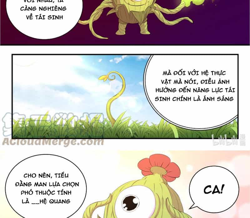 Côn Thôn Thiên Hạ - Chương 222 - ảnh 20