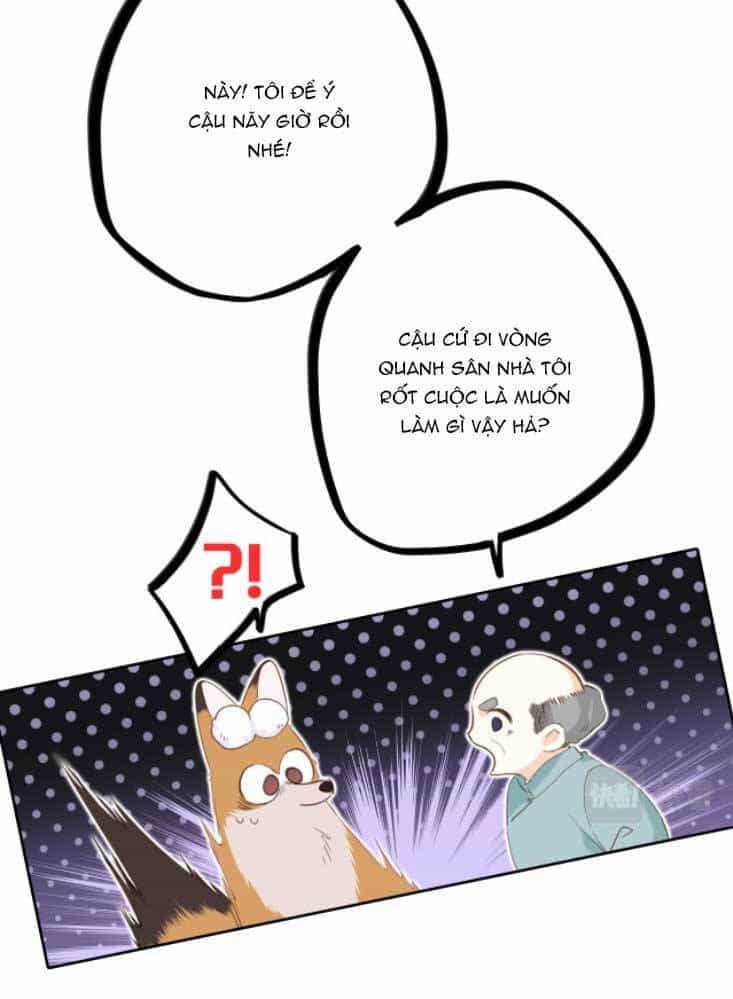 Con Tim Rung Động 3 - Chương 27 - ảnh 23