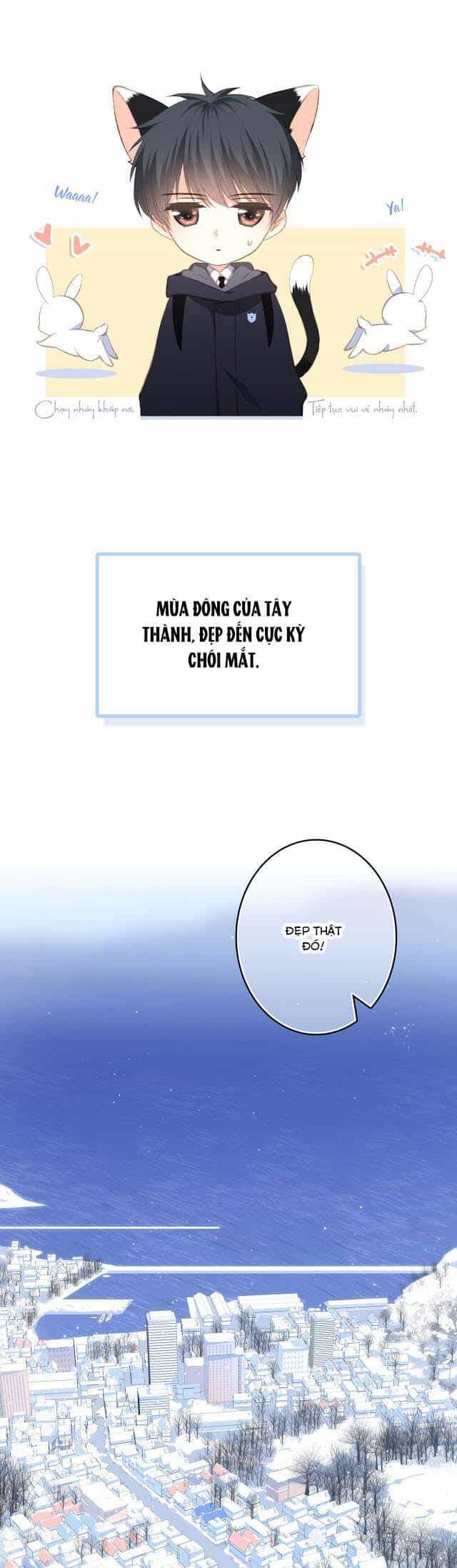 Con Tim Rung Động - Chương 89 - ảnh 7