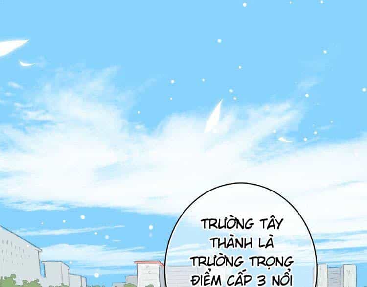 Con Tim Rung Động - Chương 15 - ảnh 73