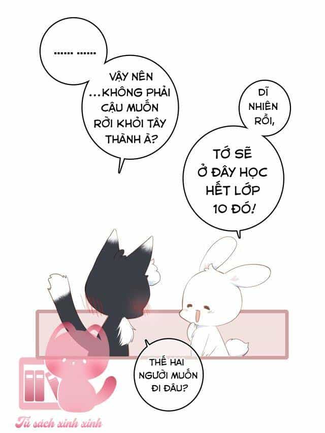 Con Tim Rung Động - Chương 142.1 - ảnh 8