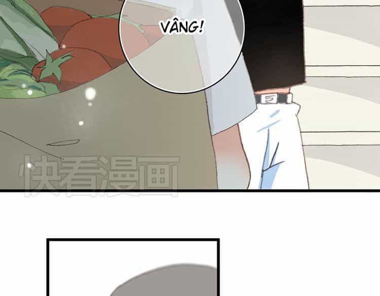 Con Tim Rung Động - Chương 3 - ảnh 2